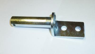 40303150.jpg