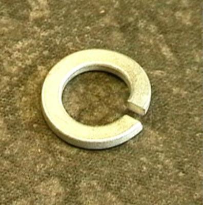 409204.jpg