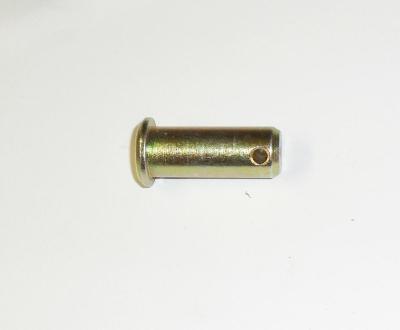 450120.jpg