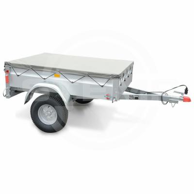 Z4507382.jpg