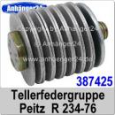 387425 | Peitz R234-76 Tellerfedergruppe (15-teilig)